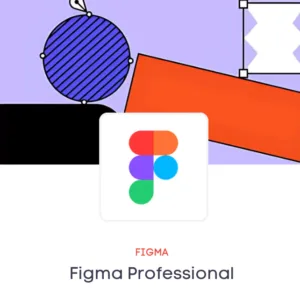 Figma Professional Plan